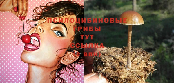 амф Волосово
