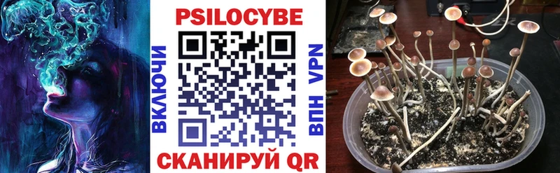 Галлюциногенные грибы прущие грибы  Королёв 