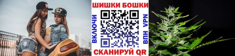 Бошки марихуана конопля  Королёв 
